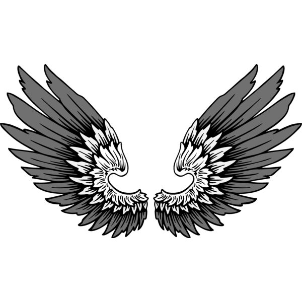 ES2wings011CLR Thumbnail