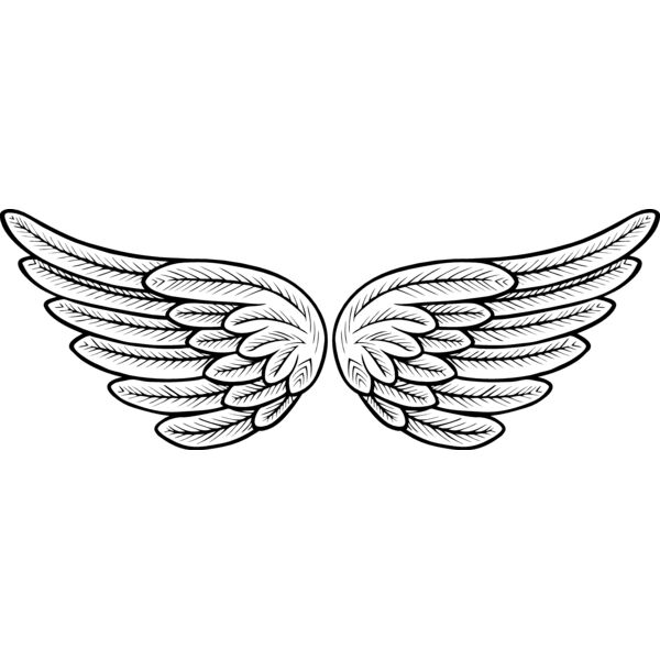 ES2wings002bw Thumbnail