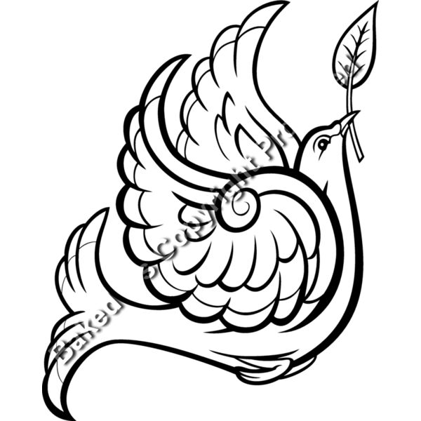 ES3dove02BW Thumbnail