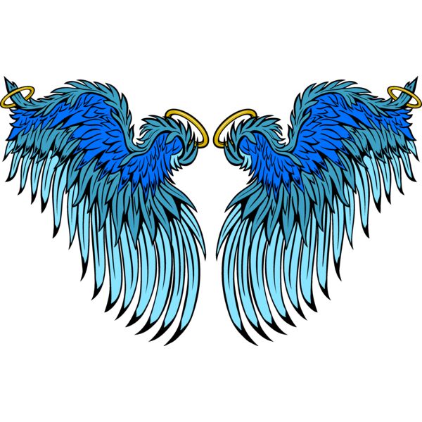 ES3wing25clr Thumbnail