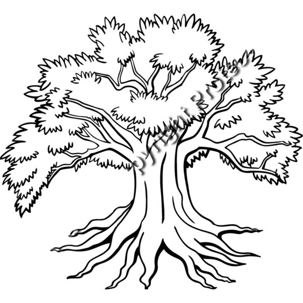 ES3tree14bw Thumbnail