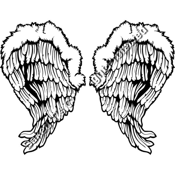 ES3wing26bw Thumbnail