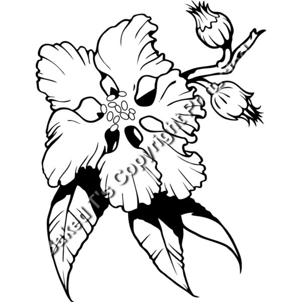 ES3flower11bw Thumbnail