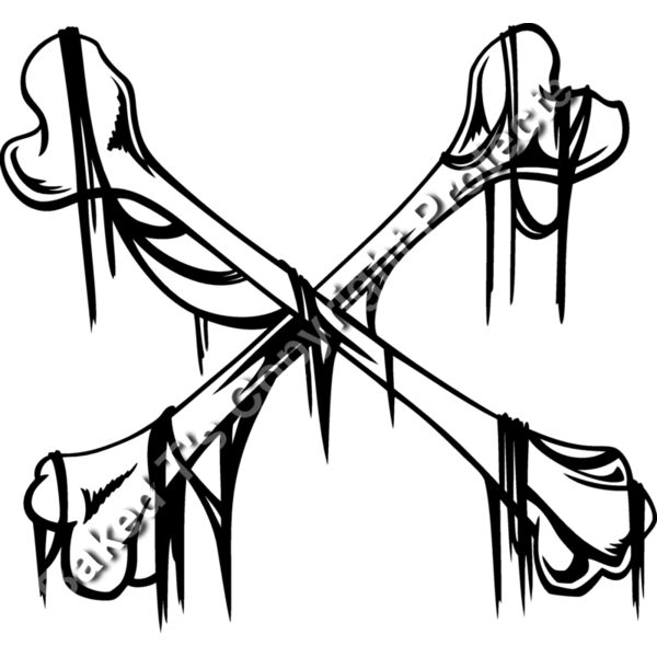 ES3bones06bw Thumbnail