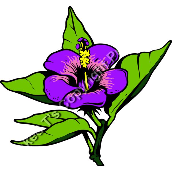 ES3tropical01clr Thumbnail