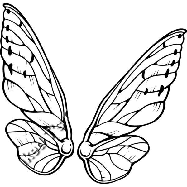 ES3wing04bw Thumbnail