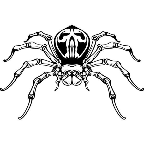 es3spider04bw Thumbnail