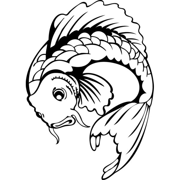 es3asiankoi10bw Thumbnail