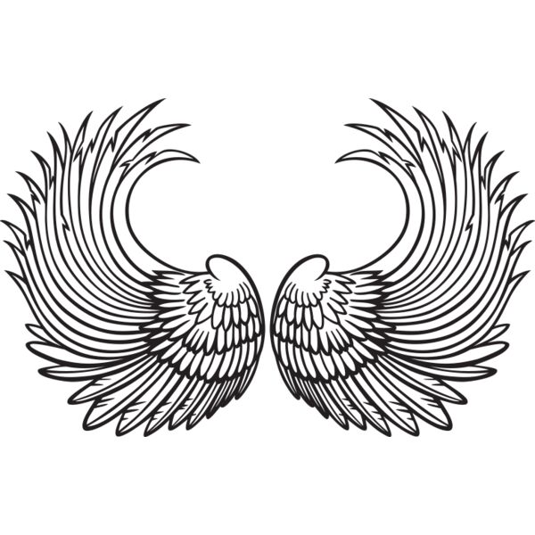 ES3wing03bw Thumbnail